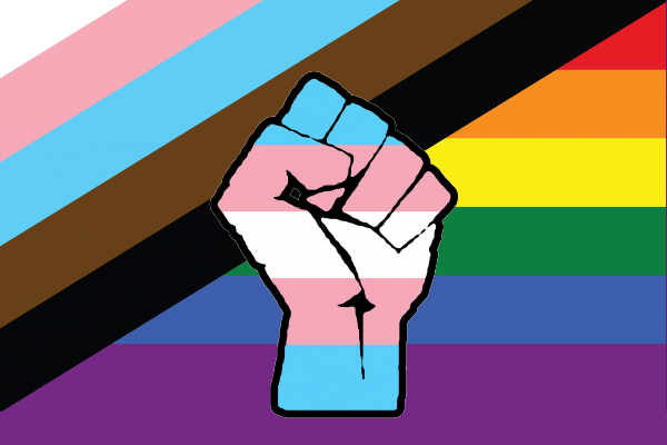 Scene responds to LGB Alliance charitable status